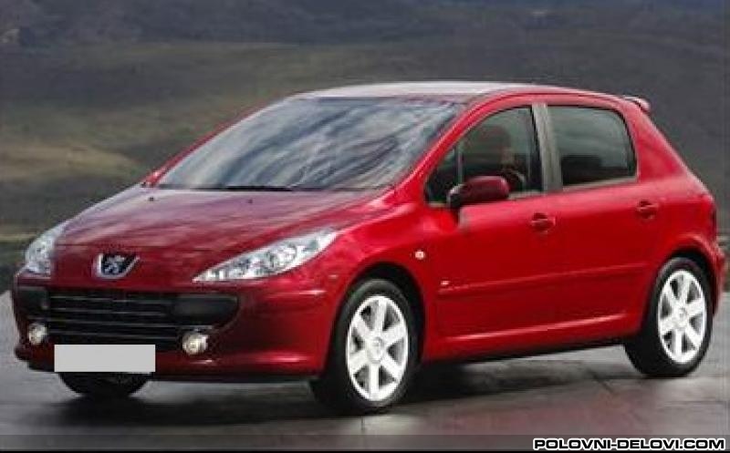 Peugeot  307  Kompletan Auto U Delovima