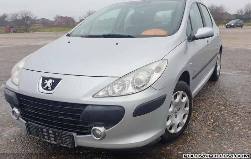 Peugeot  307  Kompletan Auto U Delovima