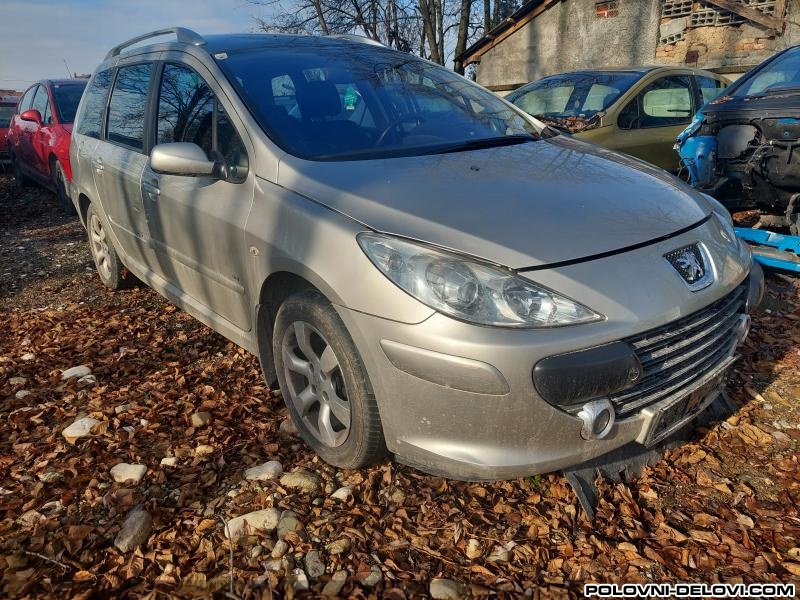 Peugeot  307  Kompletan Auto U Delovima