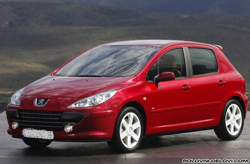 Peugeot  307  Kompletan Auto U Delovima