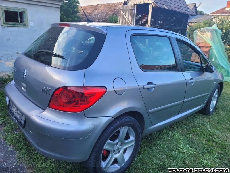 Peugeot  307  Kompletan Auto U Delovima