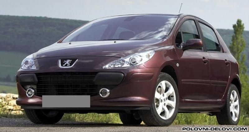 Peugeot  307  Kompletan Auto U Delovima