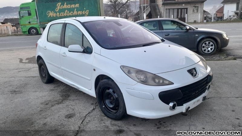 Peugeot 307 Kompletan Auto U Delovima