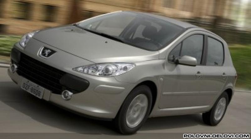 Peugeot  307  Kompletan Auto U Delovima