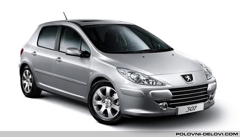 Peugeot  307  Kompletan Auto U Delovima