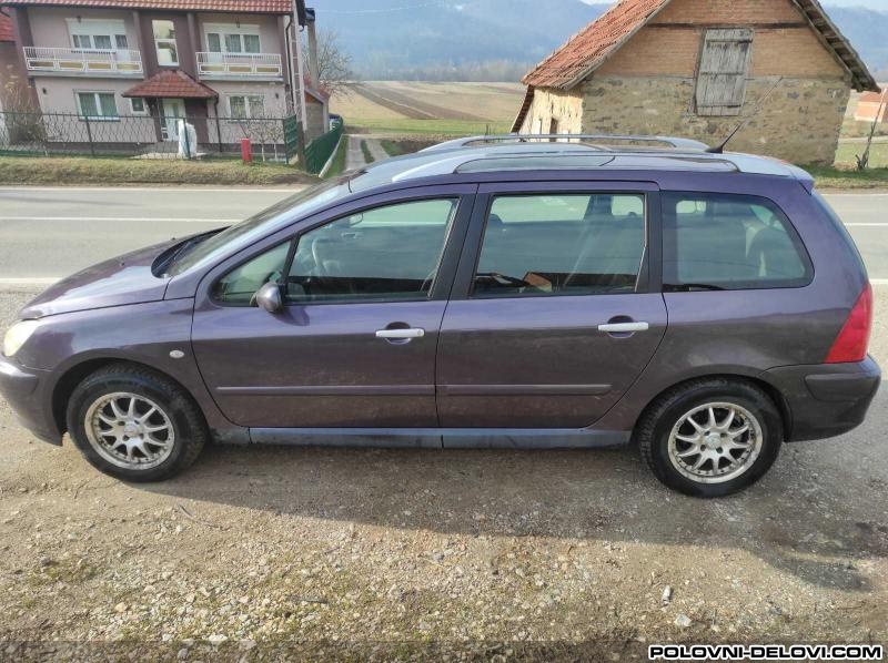 Peugeot  307  Kompletan Auto U Delovima