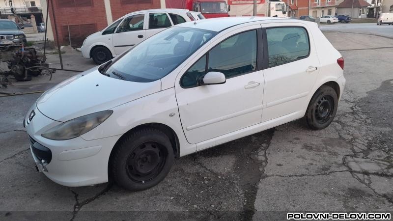 Peugeot 307 Kompletan Auto U Delovima