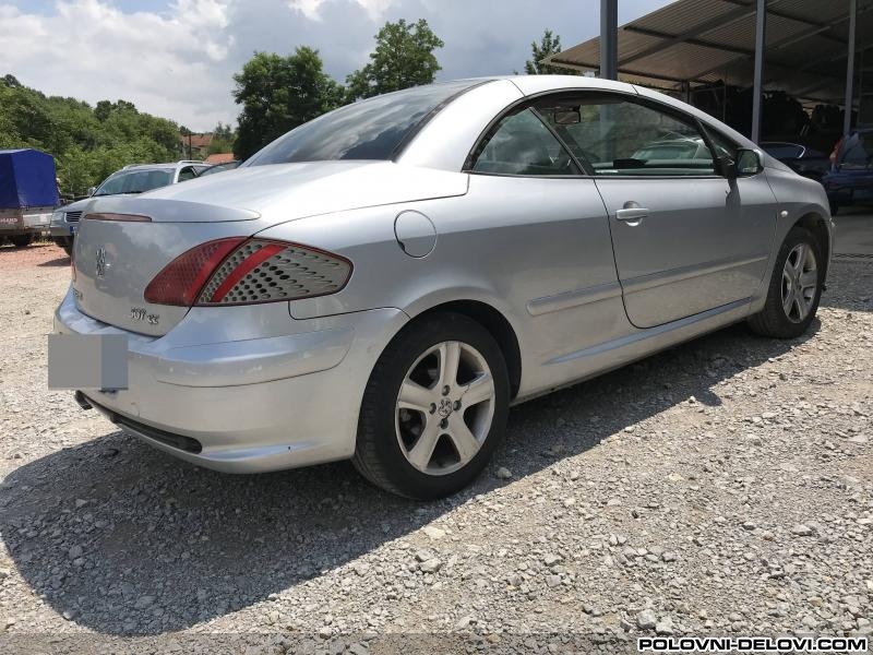 Peugeot  307 Pragovi Karoserija