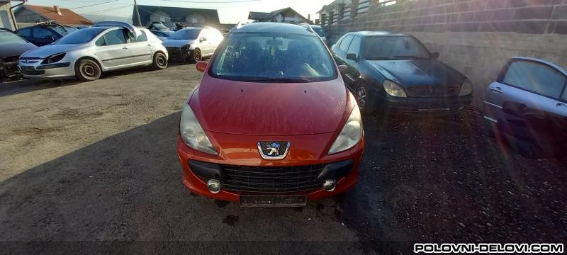 Peugeot  307  Razni Delovi