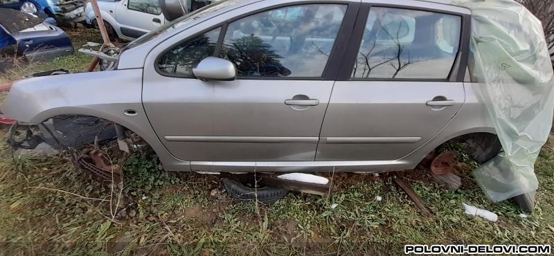 Peugeot  307  Razni Delovi