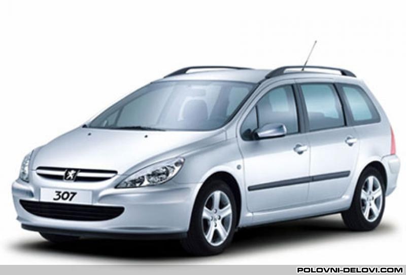 Peugeot  307  Razni Delovi