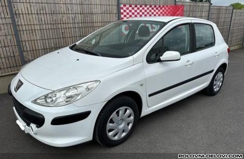Peugeot  307 Restajling Kompletan Auto U Delovima