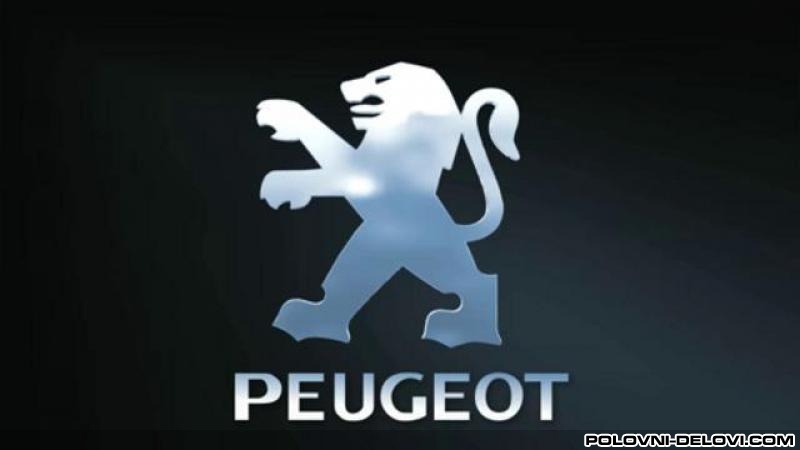 Peugeot  307 Svi Modeli Razni Delovi