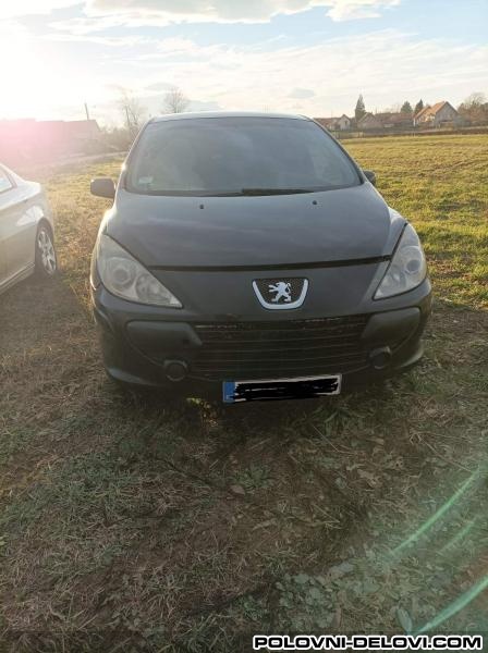 Peugeot  307  Trap I Vesanje