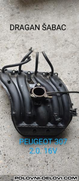 Peugeot  307 Usisna Grana  Motor I Delovi Motora