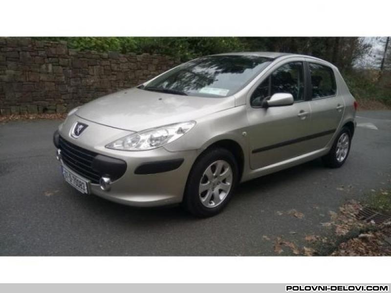 Peugeot  307 Zadnji Trap Trap I Vesanje