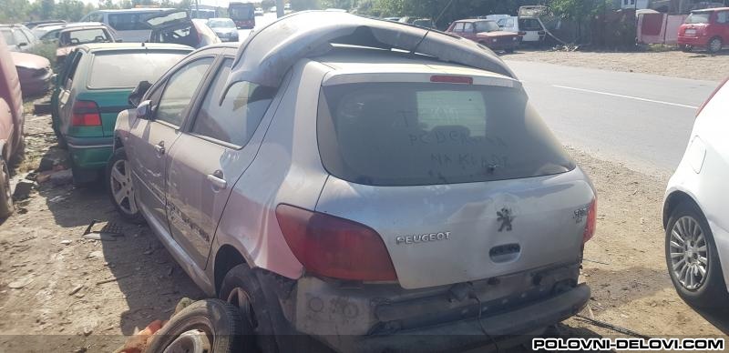 Peugeot  307 Zeleznik Kompletan Auto U Delovima