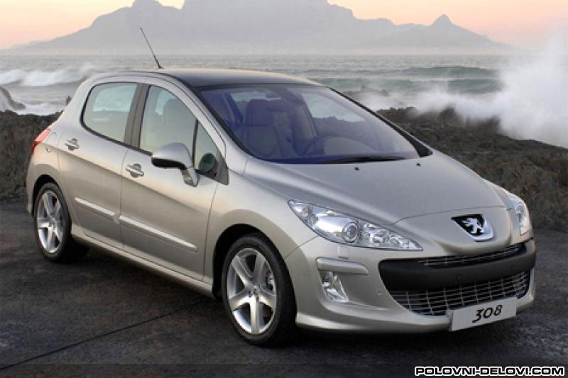 Peugeot  308 Benzin. Disel Filteri