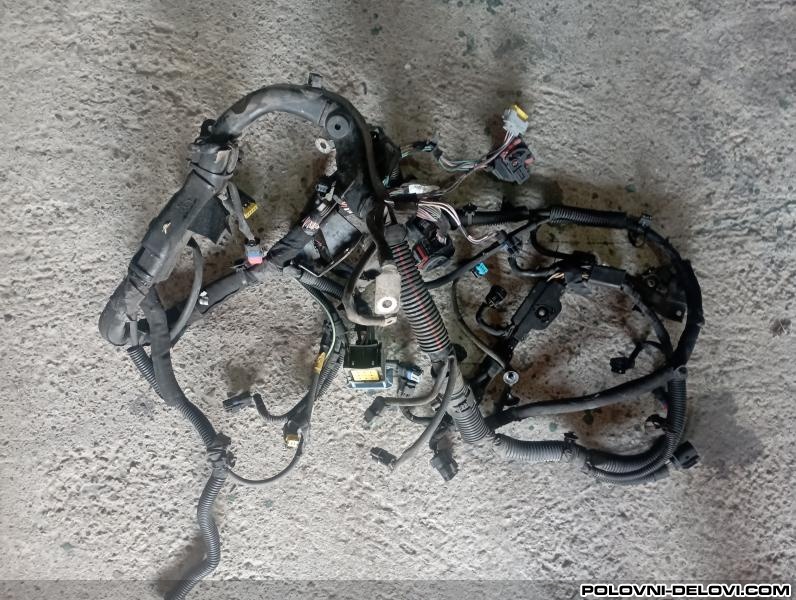 Peugeot  308  Elektrika I Paljenje