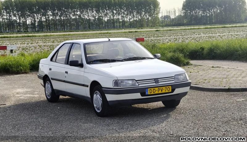 Peugeot  405  Kompletan Auto U Delovima