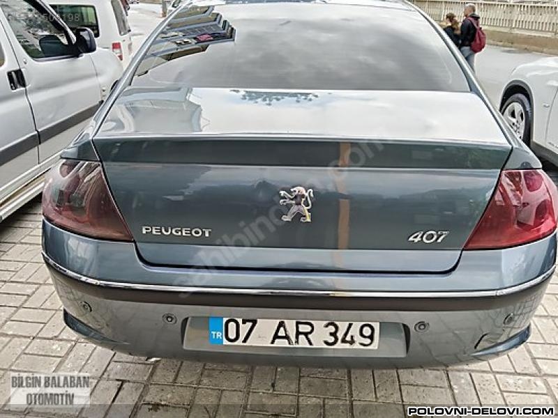 Peugeot  407 1.6 Hdi Delovi Svetla I Signalizacija