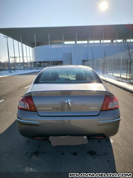 Peugeot  407 1.6 Hdi Razni Delovi