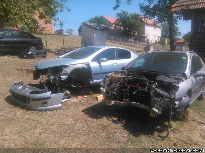 Peugeot  407 1.6HDI Svetla I Signalizacija