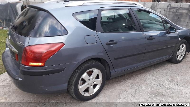 Peugeot  407 1.6hdi Razni Delovi