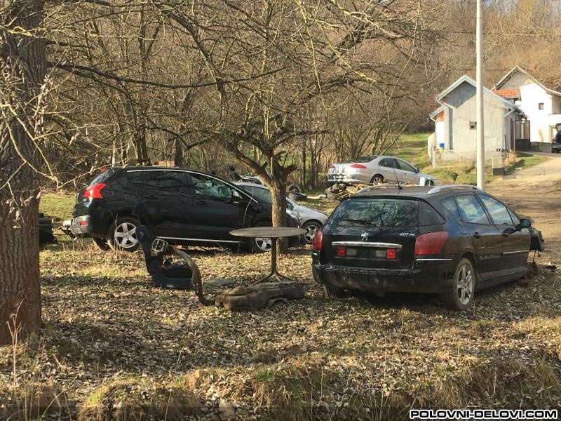 Peugeot  407 2.0 2.2 2.7 Kompletan Auto U Delovima