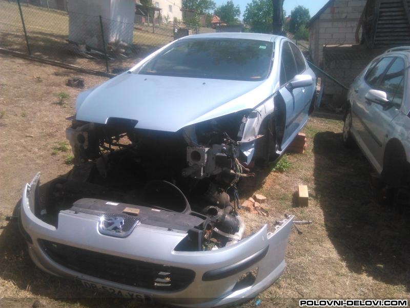 Peugeot  407 2.0 HDI Kocioni Sistem