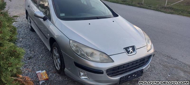 Peugeot  407 2.0 Hdi  Kompletan Auto U Delovima