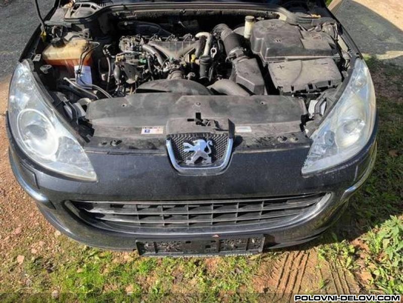 Peugeot  407 Alternator Elektrika I Paljenje