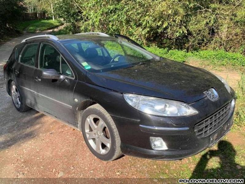 Peugeot  407 Amortizer Sa Oprugom Amortizeri I Opruge