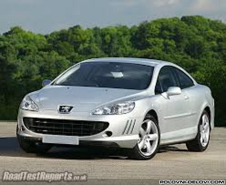 Peugeot  407 Benzin. Disel Amortizeri I Opruge