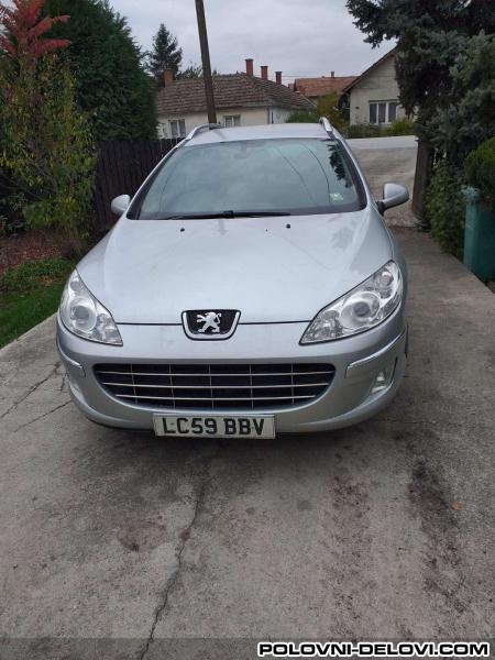 Peugeot  407 Branik Pezo 407 Izduvni Sistem