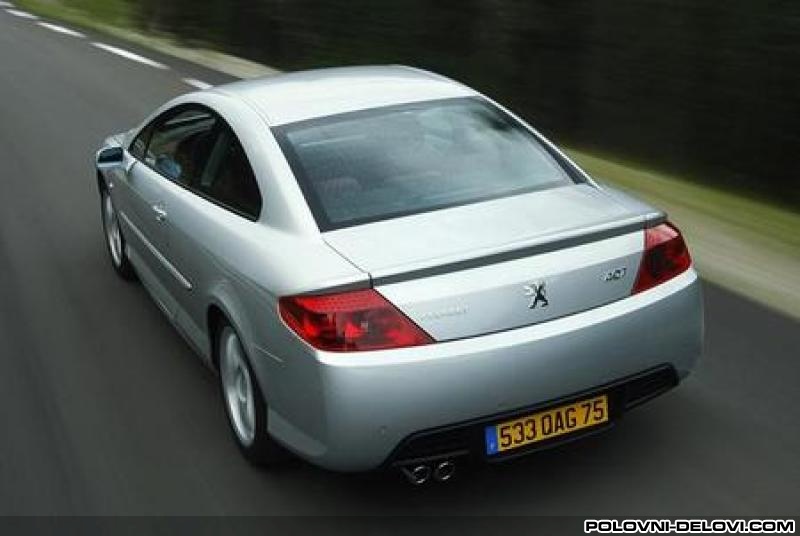 Peugeot  407 Coupe Benzin. Disel Izduvni Sistem