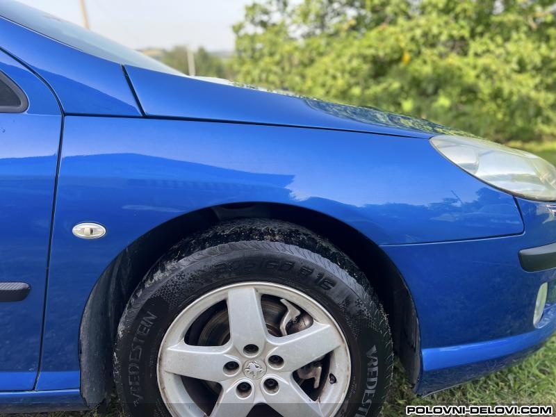 Peugeot  407 Delovi 407 Karoserija