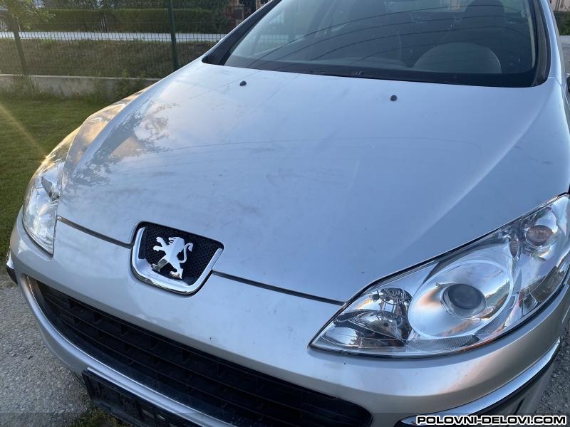 Peugeot  407  Hauba 