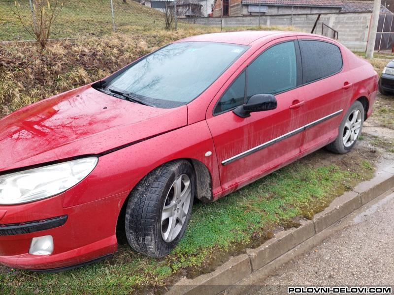Peugeot  407  Izduvni Sistem