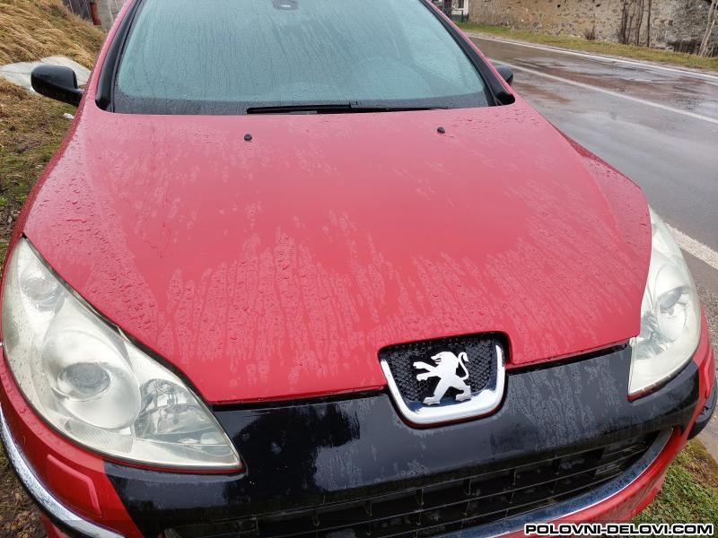 Peugeot  407  Karoserija