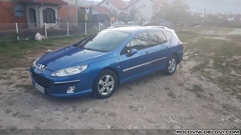 Peugeot  407  Karoserija