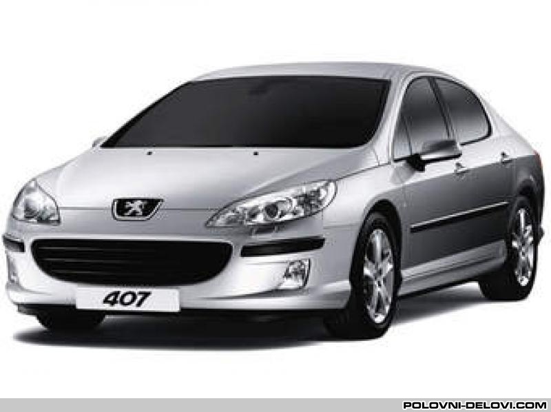 Peugeot  407  Karoserija