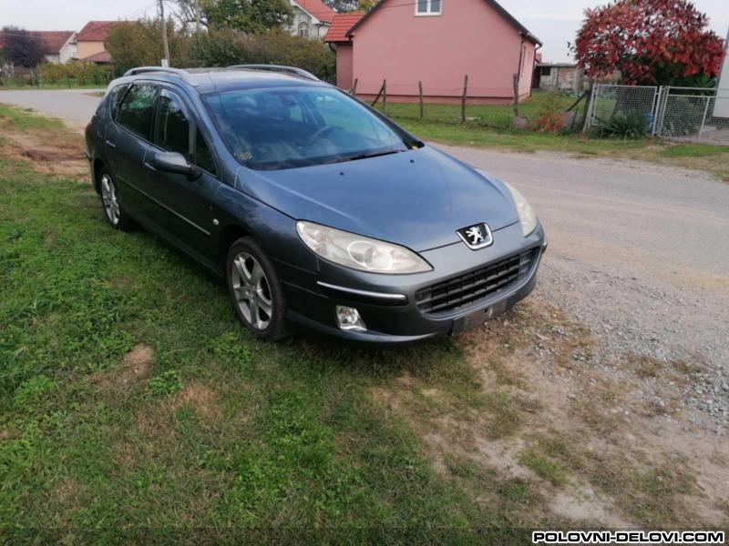 Peugeot  407  Kompletan Auto U Delovima
