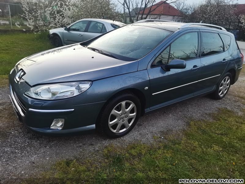Peugeot  407  Kompletan Auto U Delovima
