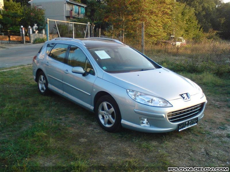 Peugeot  407  Kompletan Auto U Delovima