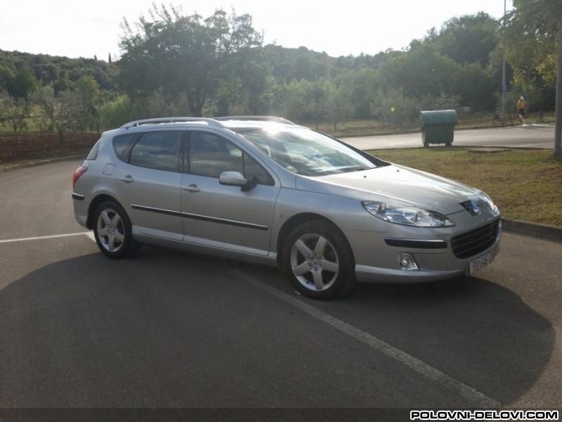 Peugeot  407 Limarija 407 Pezo Karoserija