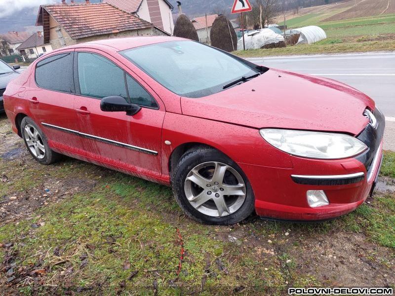 Peugeot  407  Motor I Delovi Motora
