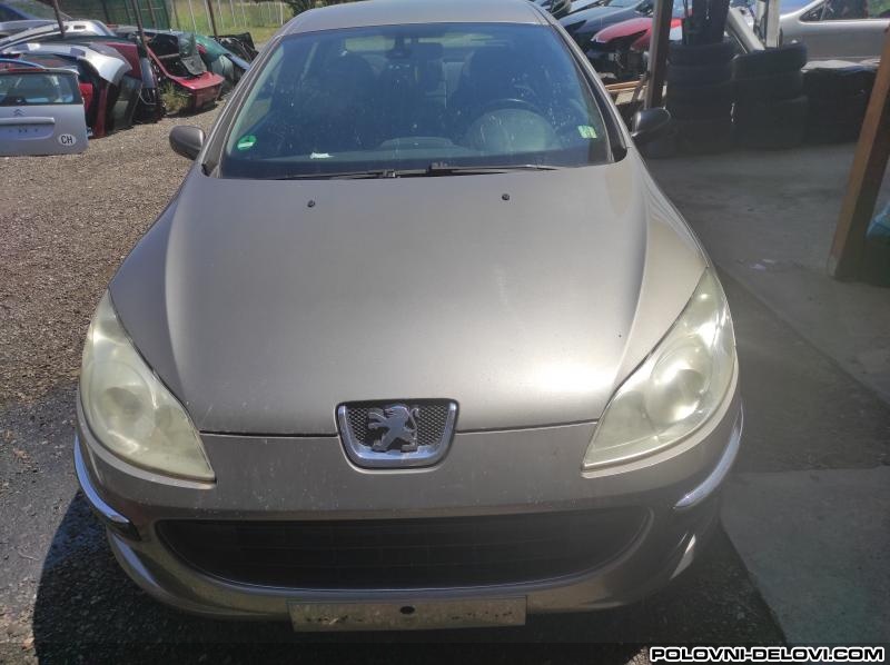 Peugeot  407 Peugeot 407 Kompletan Auto U Delovima