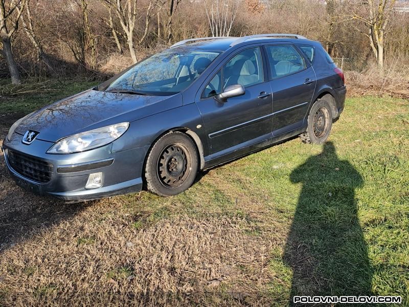 Peugeot  407  Rashladni Sistem