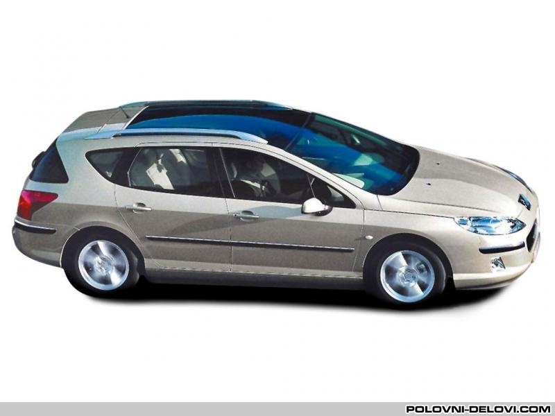 Peugeot  407  Razni Delovi